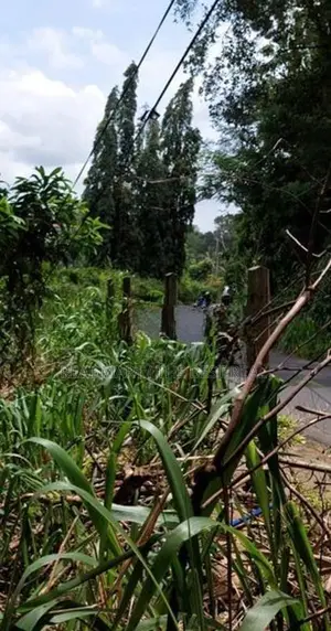 Kandy : 30 perches Commercial Land for Sale Facing road