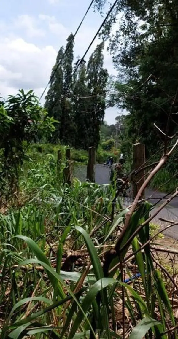 Kandy : 30 perches Commercial Land for Sale Facing road