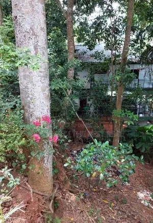 Kandy : 30 perches Commercial Land for Sale Facing road