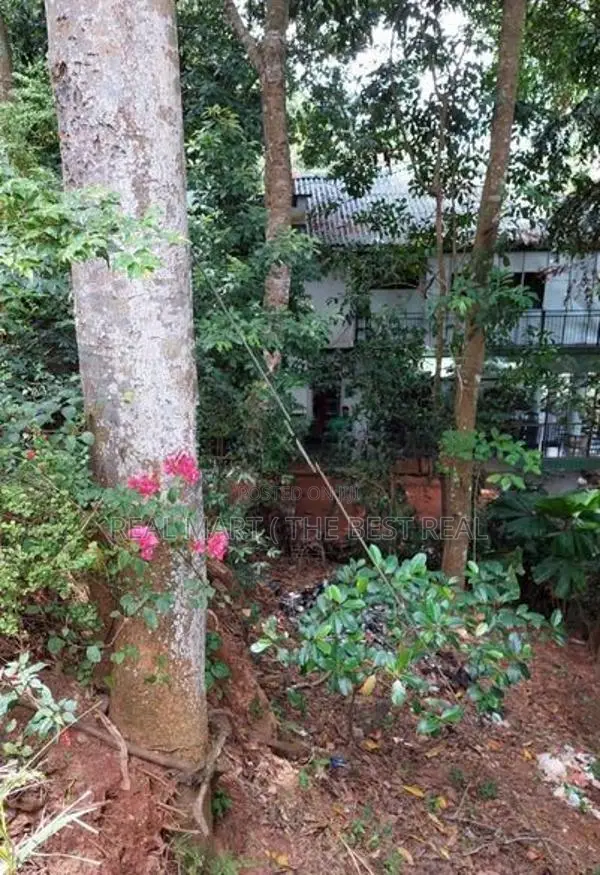 Kandy : 30 perches Commercial Land for Sale Facing road