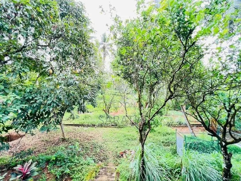 Single Storied Luxury House With Large Land for Sale