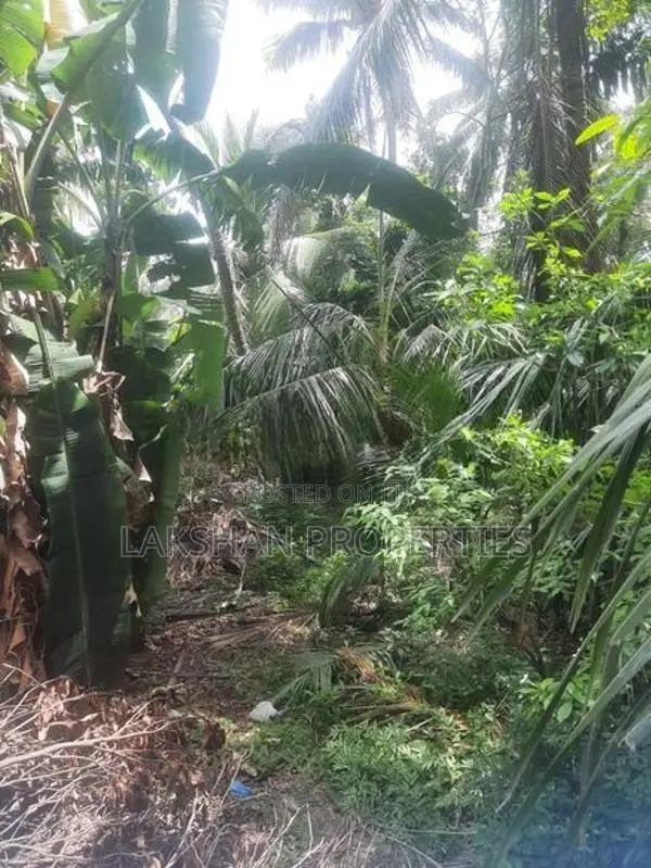 Land For Sale In Kesbewa