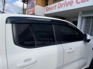 Ford Raptor Door Visors