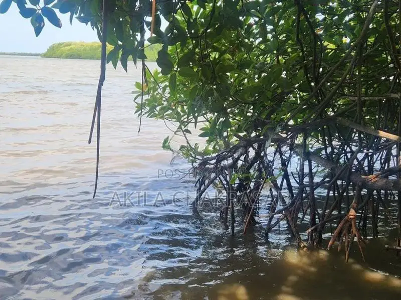 82 Perch Lagoon front Land in Negombo