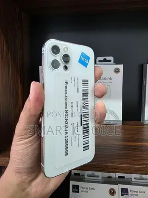 Apple iPhone 12 Pro 256GB D2 (Used)