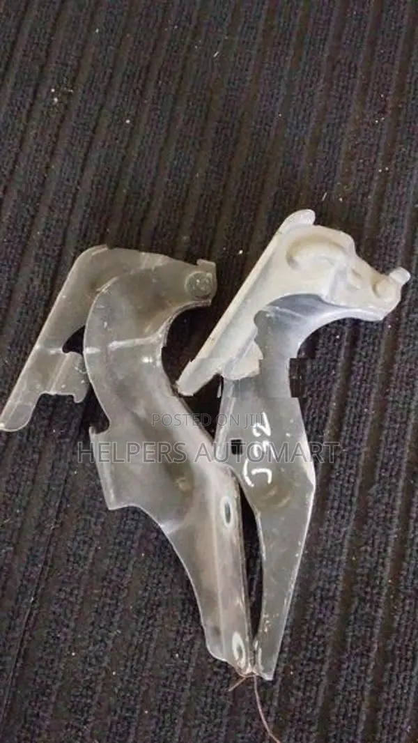 nissn Teana J32 Bonnet hinges