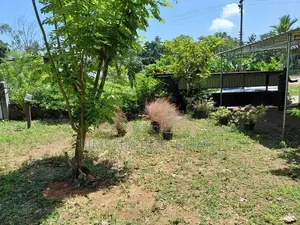 Prime 10.5 -Perch Land for Sale In Thalawathugoda | SL 14702