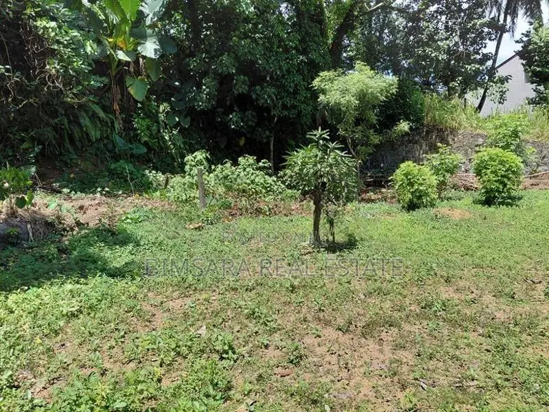 Prime 10.5 -Perch Land for Sale In Thalawathugoda | SL 14702