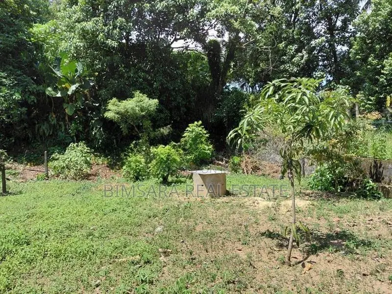 Prime 10.5 -Perch Land for Sale In Thalawathugoda | SL14701