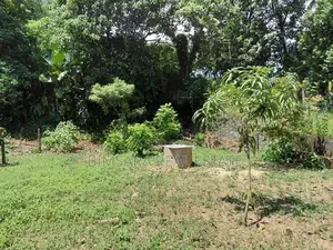 Prime 10.5 -Perch Land for Sale In Thalawathugoda | SL 14702