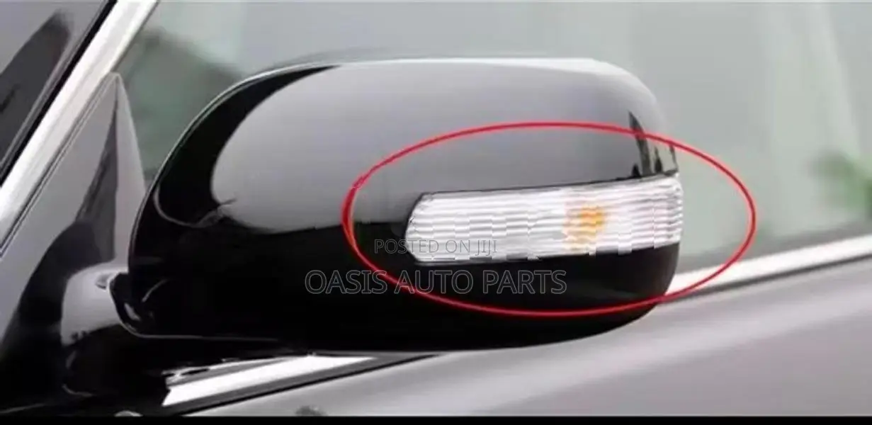 Vios mirror winker light