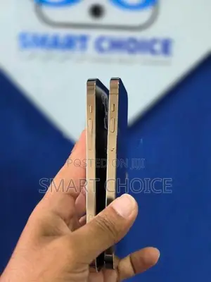 Apple iPhone 12 Pro 256GB (Used)