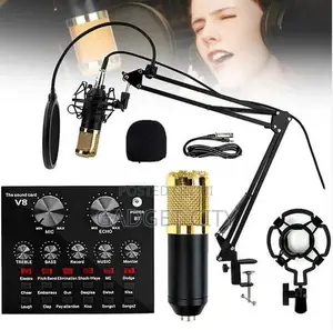 Professional Condenser Dual Microphone with V8 Sound Card