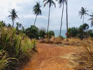 (AF219) 100P Beach Facing Land Sale At Hiriketiya Dickwella