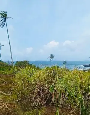 (AF219) 100P Beach Facing Land Sale At Hiriketiya Dickwella