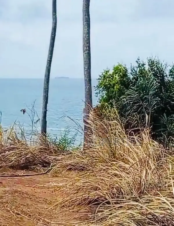 (AF219) 100P Beach Facing Land Sale At Hiriketiya Dickwella