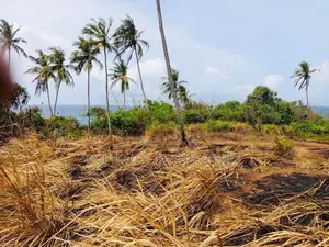 (AF219) 100P Beach Facing Land Sale At Hiriketiya Dickwella