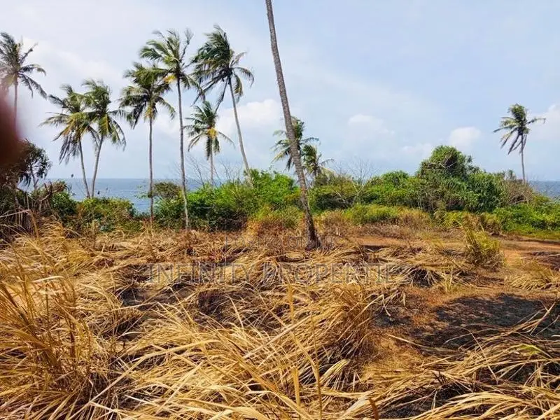 (AF219) 100P Beach Facing Land Sale At Hiriketiya Dickwella