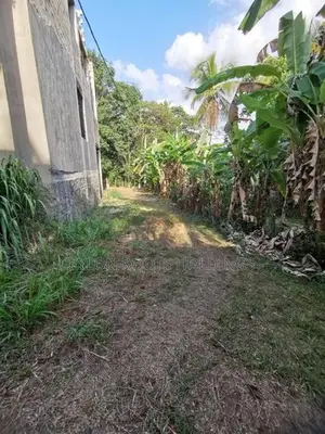 A Land Acquired From Prime Lands, Valuable for Sale In Indigahamula