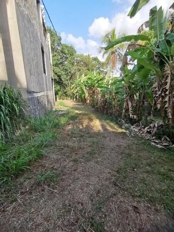 A Land Acquired From Prime Lands, Valuable for Sale In Indigahamula