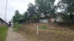 Wattala : 14 perches Land for Sale at Mabola