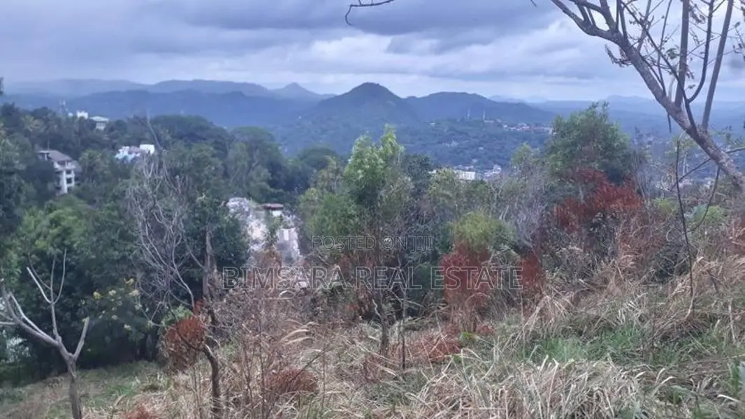 70P – Prime Residential Land for Sale in Kandy | SL14686