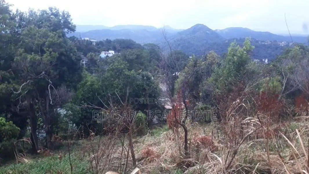 70P – Prime Residential Land for Sale in Kandy | SL14686
