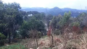 70P – Prime Residential Land for Sale in Kandy | SL14686