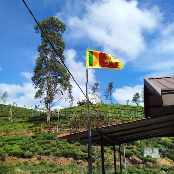 Luxury Leisure Retreat with High Income Potential in Lindula | SH 1525