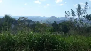 70P – Prime Residential Land for Sale in Kandy | SL14686