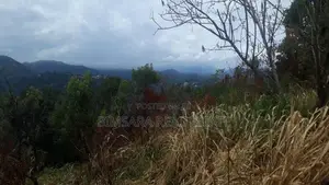 70P – Prime Residential Land for Sale in Kandy | SL14686