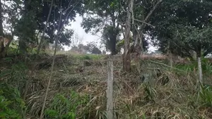 70P – Prime Residential Land for Sale in Kandy | SL14686