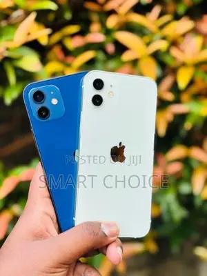 Apple iPhone 12 128GB-5G A1 (Used)