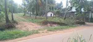 COMMERCIAL LAND FOR SALE IN DANKOTUWA (SP855)