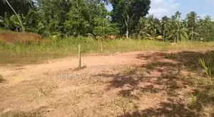 COMMERCIAL LAND FOR SALE IN DANKOTUWA (SP855)