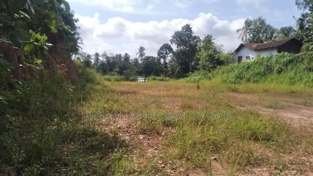 COMMERCIAL LAND FOR SALE IN DANKOTUWA (SP855)