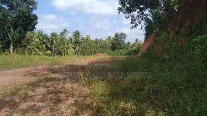 COMMERCIAL LAND FOR SALE IN DANKOTUWA (SP855)