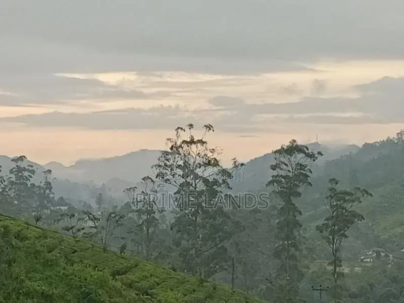 Land for Sale Nuwara Eliya Pussellawa