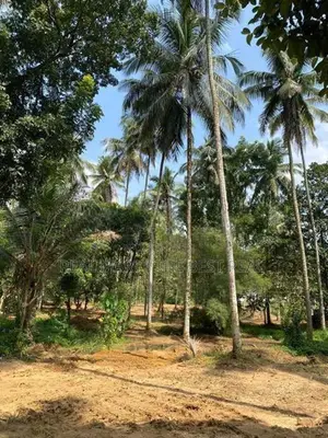 Godagama : 4 acres Coconut Land for Sale at Watareka
