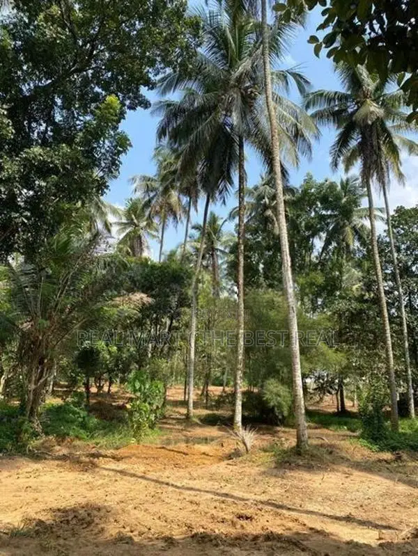 Godagama : 4 acres Coconut Land for Sale at Watareka
