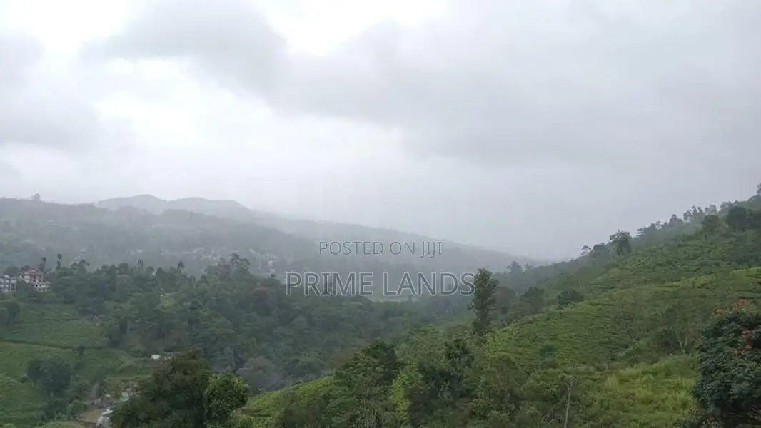 Land for Sale Pussellawa