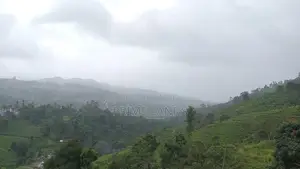 Land for Sale Pussellawa