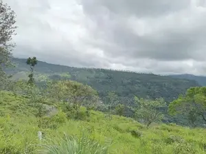 Land for Sale Nuwara Eliya Pussellawa
