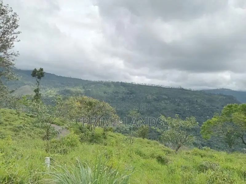 Land for Sale Nuwara Eliya Pussellawa