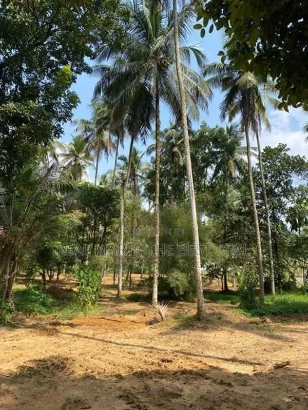 Godagama : 4 acres Coconut Land for Sale at Watareka