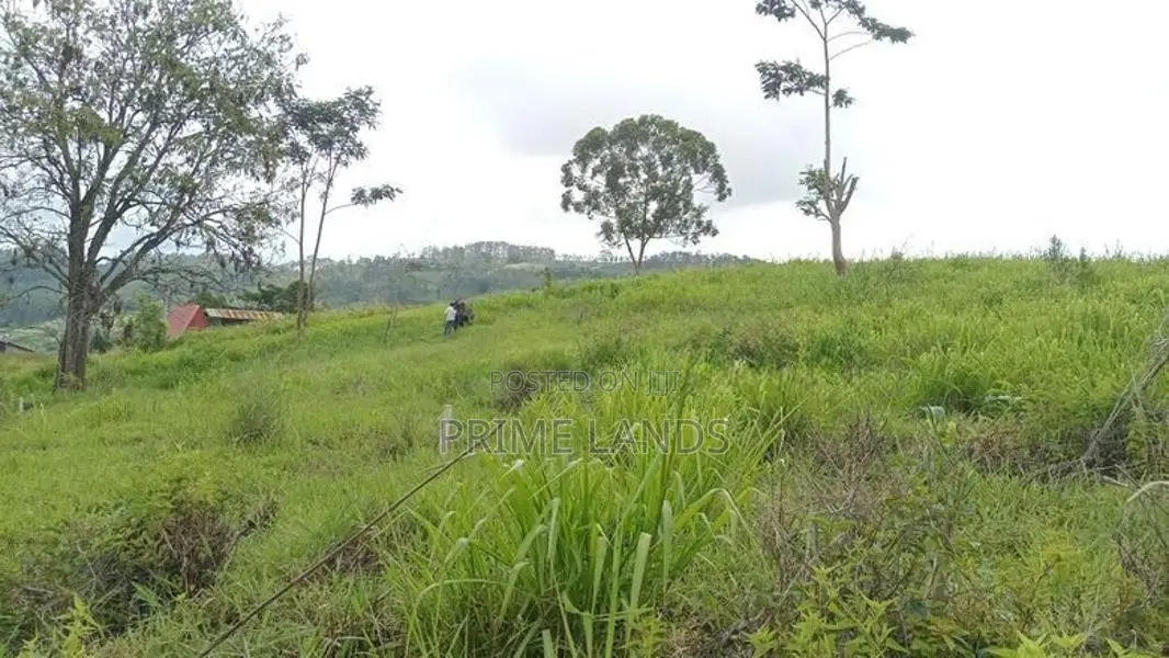 Land for Sale Nuwara Eliya Pussellawa