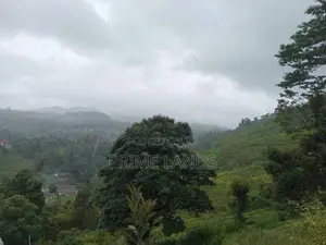Land for Sale Nuwara Eliya Pussellawa
