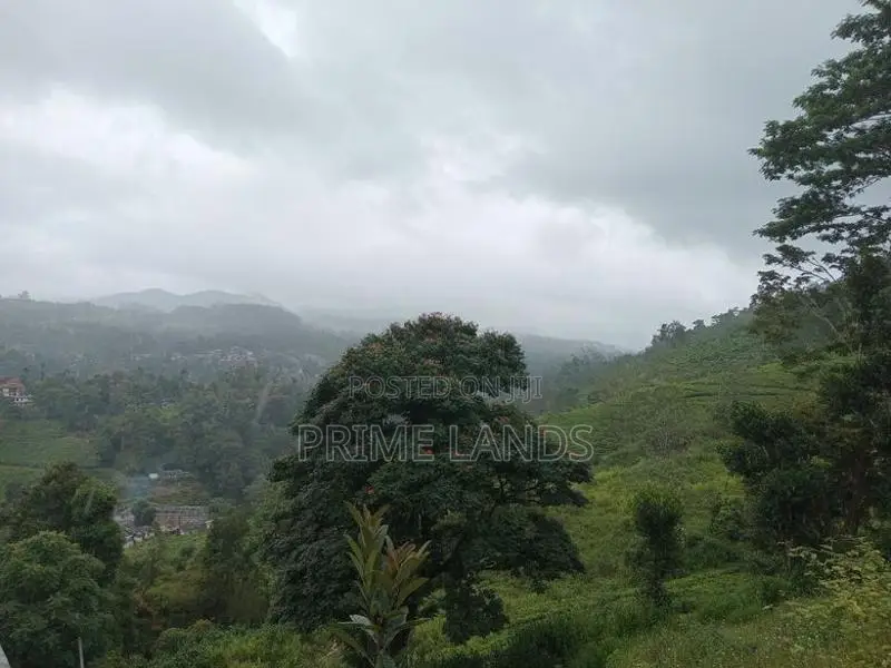 Land for Sale Nuwara Eliya Pussellawa