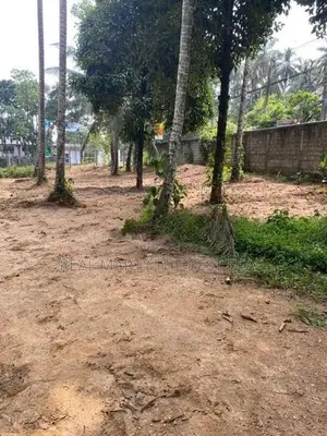 Godagama : 4 acres Coconut Land for Sale at Watareka