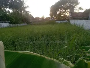 25 Perch Land For Sale Rukkaththana Junction Kadirana Negombo Gampaha
